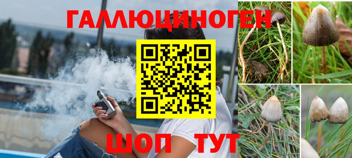 Псилоцибиновые грибы Psilocybe Камышин