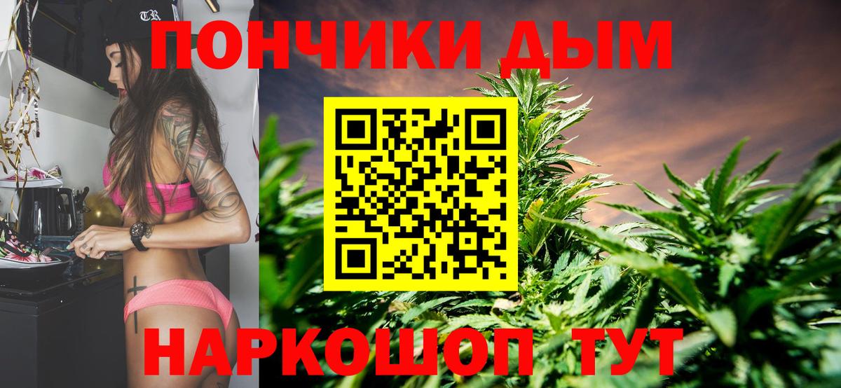 Бошки марихуана план Камышин
